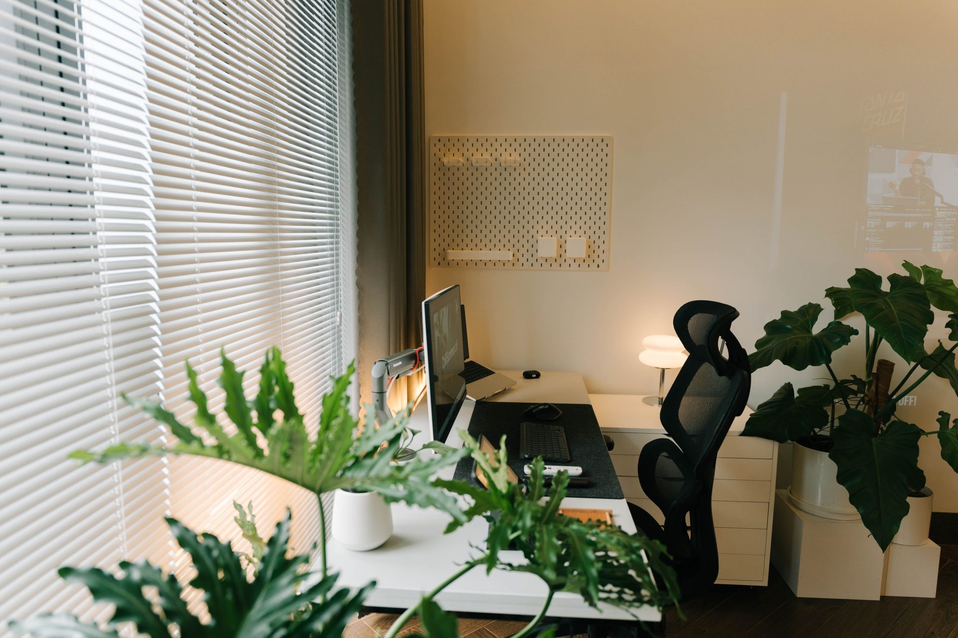 Helles, freundliches Bueo mit Pflanzen bei Finke Praxismarketing